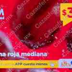 Martimiércoles Chedraui de frutas y verduras 6 y 7 de mayo 2025