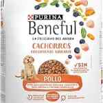 Alimento saludable para mascotas Purina Beneful Cachorros Crecimiento Radiante de 4 kg baja de precio