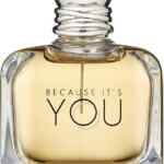 Perfume para hombre Emporio Armani Because it's You baja a su menor precio