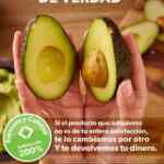Folleto cuponera Sam’s Club al 7 de julio 2025