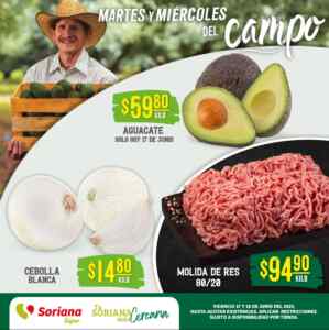 Imagen de la promo