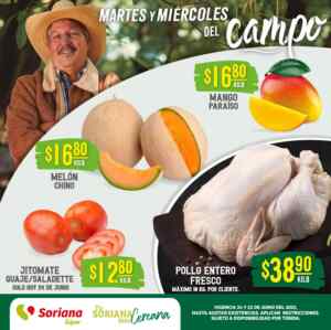 Imagen de la promo