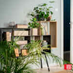 Cupón VOX Muebles 2025 de 10% de descuento adicional en la tienda en línea