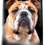 Alimento para mascotas light bajo en calorías Perfect Sense de 8 kg baja a su menor precio
