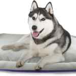 Cama para mascotas Fancy Pets Rizzo baja a un excelente precio