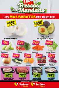 Imagen de la promo