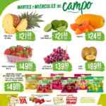 Folleto Soriana Súper Martes y Miércoles del Campo 29 y 30 de julio 2025