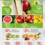 Martes de Frescura Walmart 29 de julio: precios de frutas y verduras