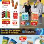 Folleto Walmart Precios Bajos al 13 de agosto 2025
