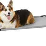 Cama elevada para mascotas baja de precio