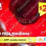 Martimiércoles Chedraui de frutas y verduras 15 y 16 de julio 2025