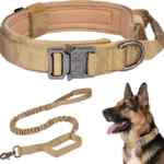 Collar y correa táctica para mascotas baja a su menor precio