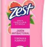 Jabón líquido antibacterial Zest Toronja & Albahaca 532 ml baja a un excelente precio
