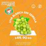 Miércoles de Plaza 9 de julio: frutas y verduras en la Comer y Fresko