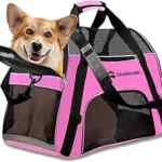 Transportadora para mascotas con base acolchada baja de precio
