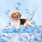 Tapete refrescante para perros baja a un excelente precio