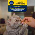 Aprendiendo con Petco Gratis Fin de semana 30 y 31 de agosto 2025