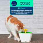 Aprendiendo con Petco Gratis Fin de semana 23 y 24 de agosto 2025