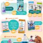 Folleto Especial Mascotas Soriana al 10 de septiembre 2025