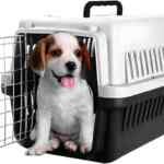 Jaula transportadora para mascotas baja a un gran precio