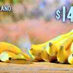 Martes y Miércoles del Campo Soriana 26 y 27 de agosto: ofertas en frutas y verduras