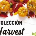 Folleto Mejores Precios La Comer Segundo a Mitad de precio y más al 30 de septiembre 2025