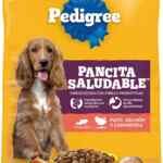 Alimento saludable para mascotas Pedigree Pancita Saludable bulto de 4 kg a un precio magnífico Alimento saludable para mascotas Pedigree Pancita Saludable bulto de 4 kg a un precio magnífico