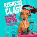 En Pet N' Go 12% de descuento en alimentos y accesorios para mascotas del 1 al 7 de septiembre