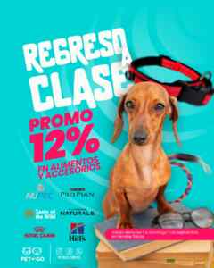 Imagen de la promo