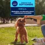 Aprendiendo con Petco Gratis fin de semana: 13 y 14 de septiembre 2025