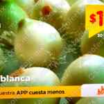 Martimiércoles Chedraui de frutas y verduras 30 de septiembre y 1 de octubre 2025