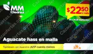 Imagen de la promo