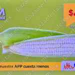 Martimiércoles Chedraui de frutas y verduras 9 y 10 de septiembre 2025