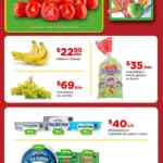 Bodega Aurrera Tianguis de frutas y verduras Precio Bodega al 25 de septiembre 2025