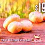 Martes y Miércoles del Campo Soriana 2 y 3 de septiembre: ofertas en frutas y verduras