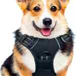 Arnés pechera para perros baja a un excelente precio