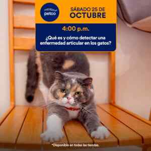 Aprendiendo con Petco Gratis Fin de semana 25 y 26 de octubre 2025 Imagen de la promo