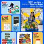 Folleto Walmart Precios Bajos al 19 de noviembre 2025