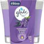 Vela aromatizante Glade Tranquilidad Lavanda & Aloe baja a un precio buenísimo Vela aromatizante Glade Tranquilidad Lavanda & Aloe baja a un precio buenísimo