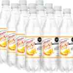 12 pack bebidas Peñafiel Twist Naranja PET 600 ml bajan a un excelente precio con Planea y Ahorra