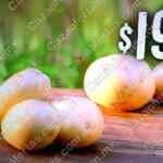 Martes y Miércoles del Campo Soriana 7 y 8 de octubre: ofertas de frutas y verduras