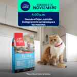 Aprendiendo con Petco Gratis fin de semana: 8 y 9 de noviembre 2025 Aprendiendo con Petco Gratis fin de semana: 8 y 9 de noviembre 2025