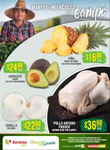 Folleto Soriana Súper Martes y Miércoles del Campo 25 y 26 de noviembre 2025 Imagen de la promo