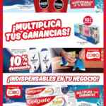 Folleto Básicos de Invierno Zorro Abarrotero al 2 de diciembre 2025