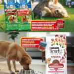 Folleto Básicos de Invierno Zorro Abarrotero al 2 de diciembre 2025