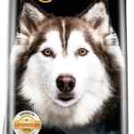 Alimento premium para mascotas Perfect Sense razas medianas y grandes bulto de 8 kg baja de precio + 3 msi Alimento premium para mascotas Perfect Sense razas medianas y grandes bulto de 8 kg baja de precio + 3 msi