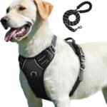 Arnés pechera para perro con correa baja a un excelente precio + 3 msi
