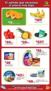 Bodega Aurrera Tianguis de frutas y verduras Precio Bodega al 11 de diciembre 2025 Imagen de la promo