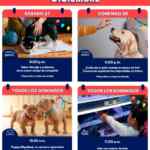 Aprendiendo con Petco Gratis fin de semana: 27 y 28 de diciembre 2025