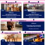 Aprendiendo con Petco Gratis Fin de semana 20 y 21 de diciembre 2025 Aprendiendo con Petco Gratis Fin de semana 20 y 21 de diciembre 2025